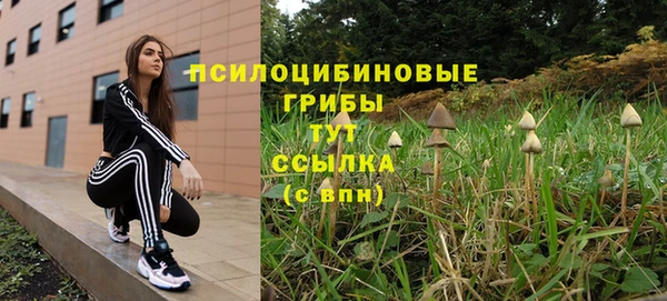 хмурый Гусев