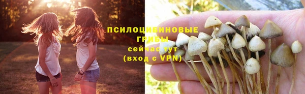 2c-b Гусь-Хрустальный