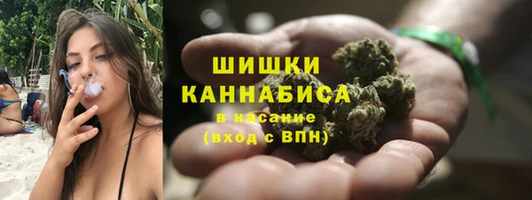 хмурый Гусев