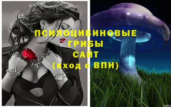 2c-b Гусь-Хрустальный