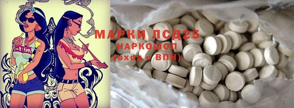 ПСИЛОЦИБИНОВЫЕ ГРИБЫ Струнино