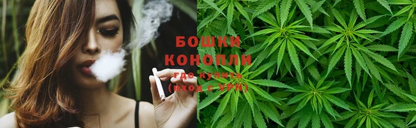 хмурый Гусев