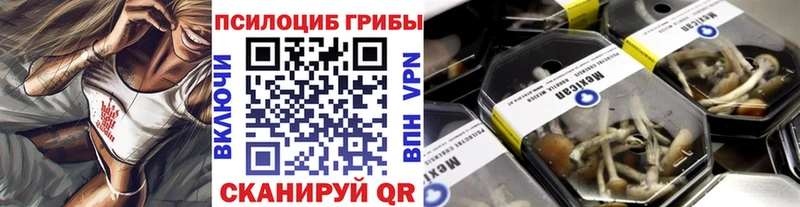 Галлюциногенные грибы прущие грибы  как найти   Ростов-на-Дону 