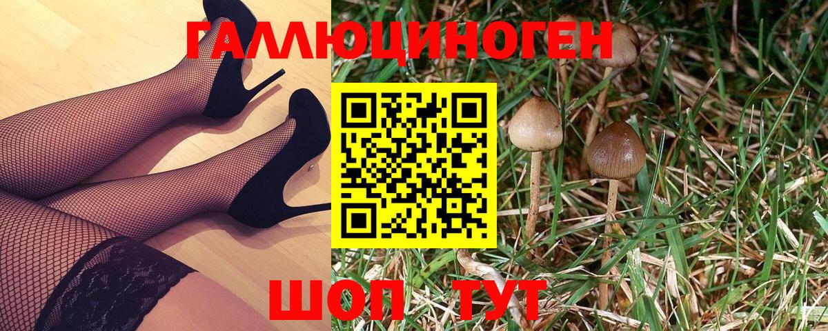 купить наркотик  Вход с VPN  Ростов-на-Дону  Псилоцибиновые грибы Psilocybe 